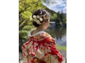 プランの魅力 Special plan の画像