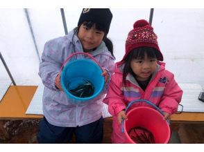 プランの魅力 가족도 즐길 수있는 WoW 체험을 목표로하고 있습니다. の画像