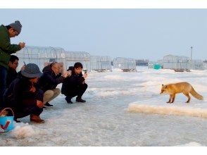 プランの魅力 野生生物にも会えるかも? の画像