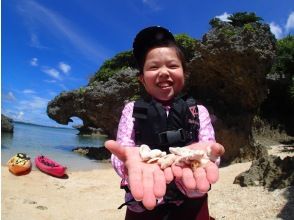 プランの魅力 貝殻拾い！！ の画像