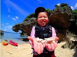 プランの魅力 上陸ポイントでカワイイ貝殻をゲット♪ の画像