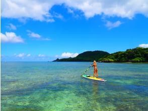 プランの魅力 透明度抜群の海上SUP の画像
