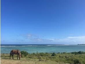 プランの魅力 送迎無料 の画像