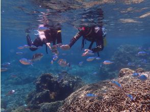 プランの魅力 キラキラ光る海の中 の画像