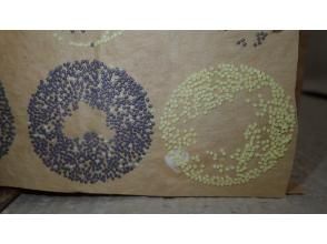 プランの魅力 蚕種（蚕の卵） の画像
