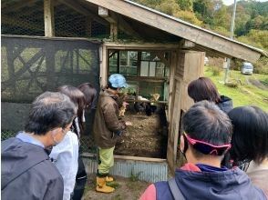 プランの魅力 平飼い養鶏場「ふぁーむbuffo」見学 の画像
