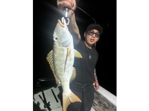 プランの魅力 Large and high-quality fish の画像