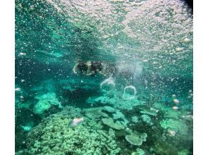 プランの魅力 バブルリング教えます！ の画像