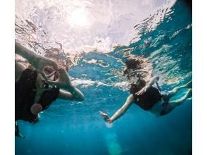 プランの魅力 水中動画、写真はプレゼント の画像