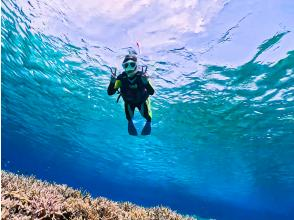 プランの魅力 Beginners are welcome ★ A veteran diver with over 30 years of experience will accompany you の画像