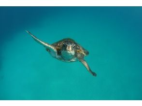 プランの魅力  の画像