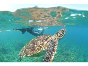 プランの魅力  の画像