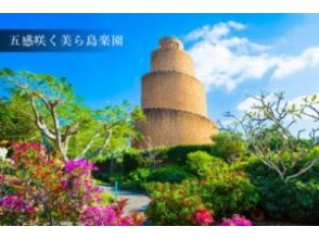 プランの魅力 熱帯ドリームセンター:約3時間15分(美ら海水族館見学含む) の画像