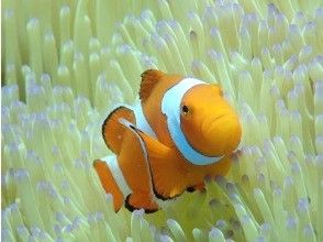 プランの魅力 の画像