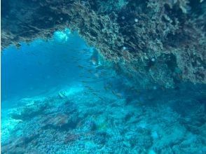 プランの魅力 の画像