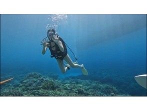 プランの魅力  の画像