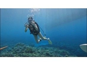 プランの魅力 の画像