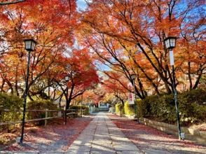 プランの魅力 長岡天満宮 の画像