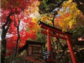 プランの魅力 柳谷観音 楊谷寺 の画像