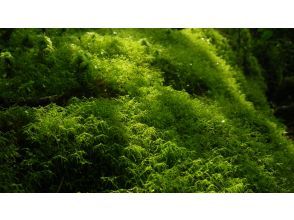 プランの魅力  の画像