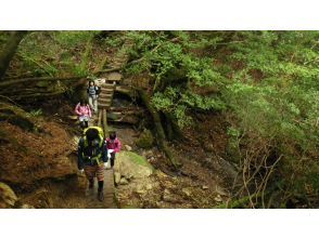 プランの魅力 トロッコ道が終わると山道へ♪ の画像