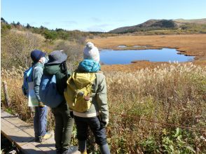 プランの魅力 八島湿原の周回コース の画像