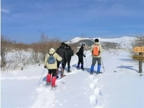 プランの魅力 雪が降ったらスノーシューで歩きます。 の画像