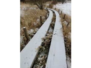 プランの魅力 雪の上の足跡 の画像