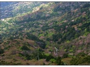 プランの魅力 櫻井山中 の画像