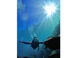 プランの魅力 年間通して透明度の高い真栄田岬 の画像