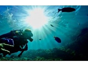 プランの魅力 The best photo の画像