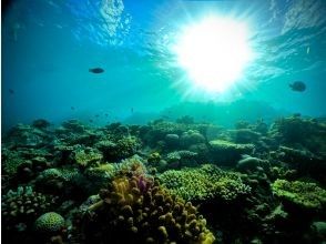 プランの魅力 沖には珊瑚礁 の画像