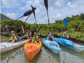 プランの魅力 ★Adventure in the outback! "Mangrove Kayaking" の画像