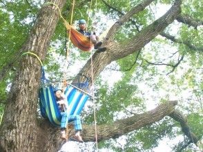 プランの魅力 Hammock on the tree の画像