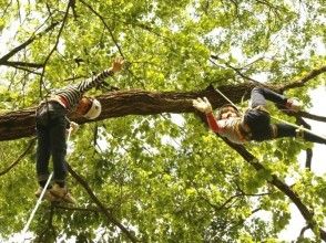 プランの魅力 抓住诀窍 の画像