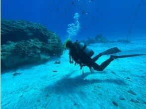 プランの魅力  の画像