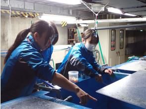 プランの魅力  の画像