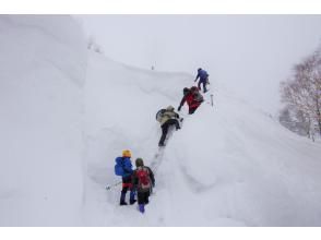 プランの魅力 Entrance to the fumarolic area の画像