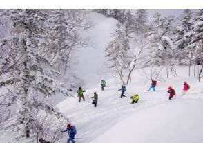 プランの魅力 Snowshoeing down the slope の画像