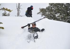 プランの魅力 Playing in the snow with your butt の画像