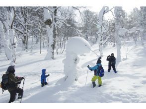 プランの魅力 Snow sculpture の画像