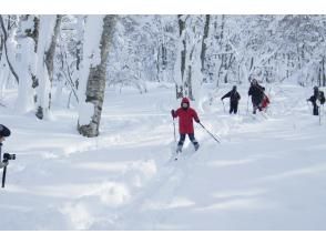 プランの魅力 Ski run② の画像