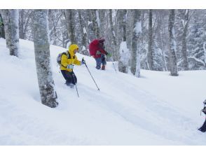 プランの魅力 Ski run ③ の画像