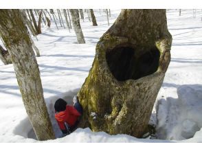プランの魅力 Bear hibernation hole① の画像