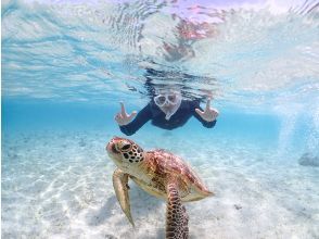 プランの魅力 家族で挑戦!5〜65歳OKの少人数ガイド&浮具完備 の画像