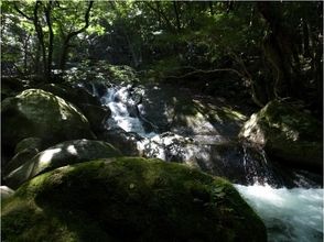 プランの魅力 讓我們聽聽水的聲音 の画像