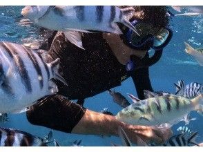 プランの魅力 大興奮の餌付け体験! の画像