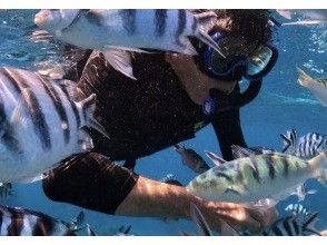 プランの魅力 大興奮の餌付け体験! の画像