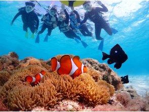 プランの魅力 All shooting data is free gift ☆ の画像