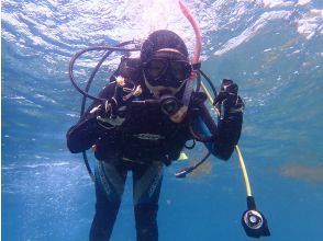 プランの魅力  の画像